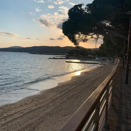 Bord De Mer Cote D Azur *