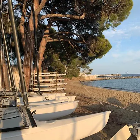 Bord De Mer Cote D Azur *